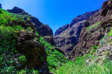 İspanya Tenerife adasında dağlar
