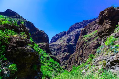 İspanya Tenerife adasında dağlar