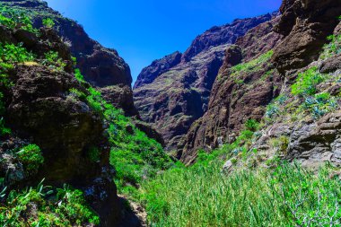 İspanya Tenerife adasında dağlar