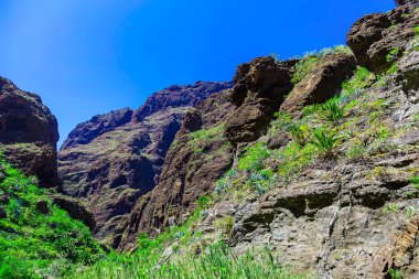 İspanya Tenerife adasında dağlar