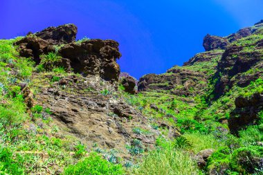 İspanya Tenerife adasında dağlar