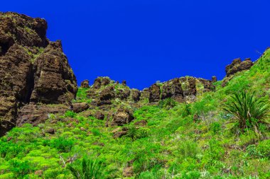 İspanya Tenerife adasında dağlar