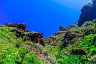 İspanya Tenerife adasında dağlar