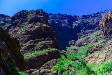 İspanya Tenerife adasında dağlar