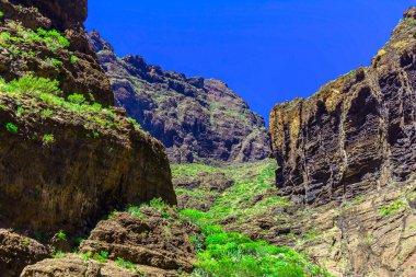 İspanya Tenerife adasında dağlar