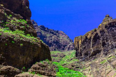 İspanya Tenerife adasında dağlar