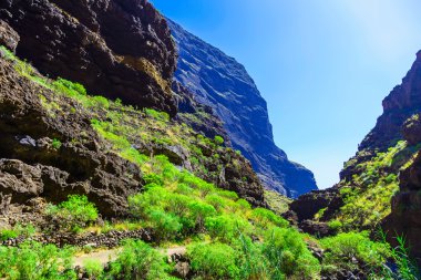 İspanya Tenerife adasında dağlar