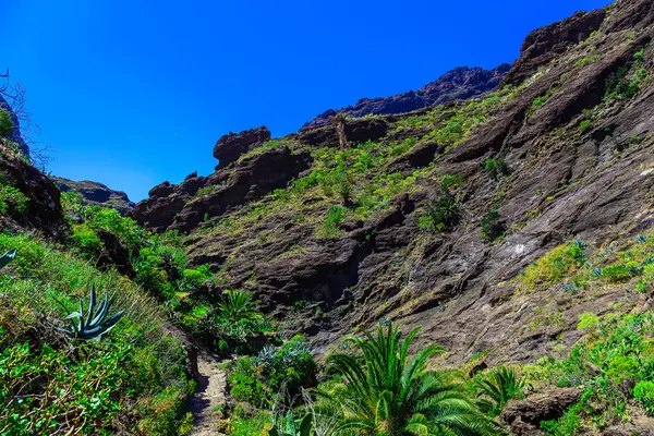 Hory na ostrově Tenerife ve Španělsku — Stock fotografie
