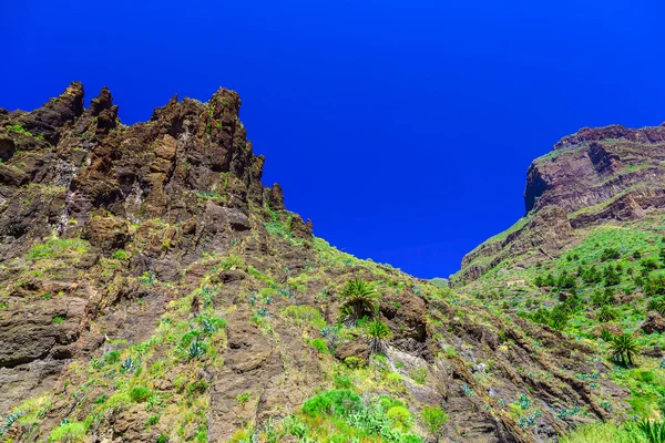 İspanya Tenerife adasında dağlar — Stok fotoğraf