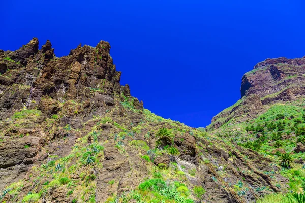 Hory na ostrově Tenerife ve Španělsku — Stock fotografie