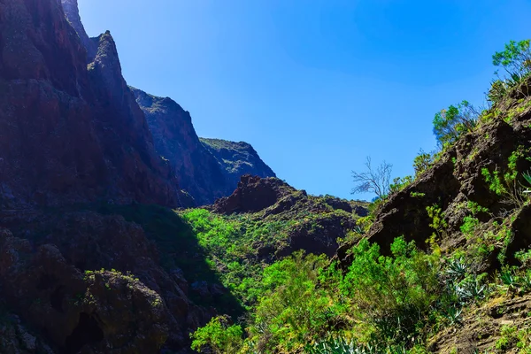 Mountains on Tenerife Island in Spain — Stock Photo, Image