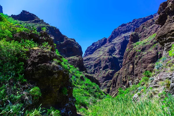 İspanya Tenerife adasında dağlar