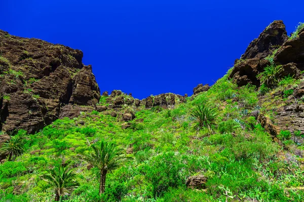 İspanya Tenerife adasında dağlar — Stok fotoğraf
