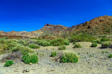 Dağlar manzara Tenerife adasında