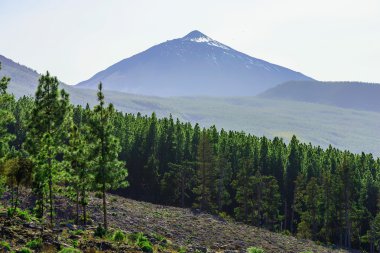 Teide yanardağı manzara Tenerife