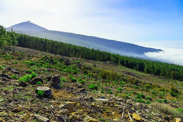 テネリフェ島テイデ火山風景 — ストック写真