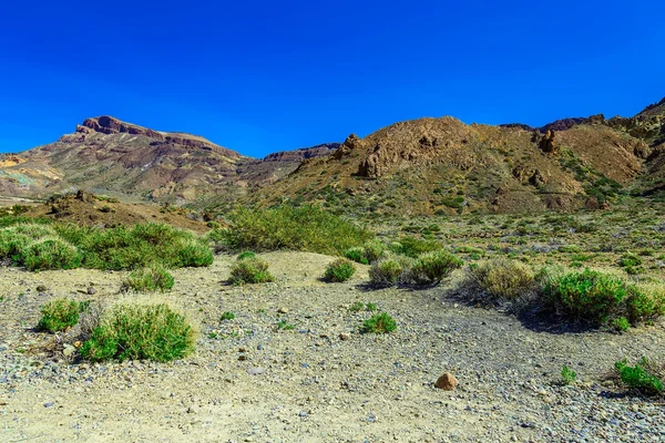 Montañas paisaje en la isla de Tenerife — Foto de Stock