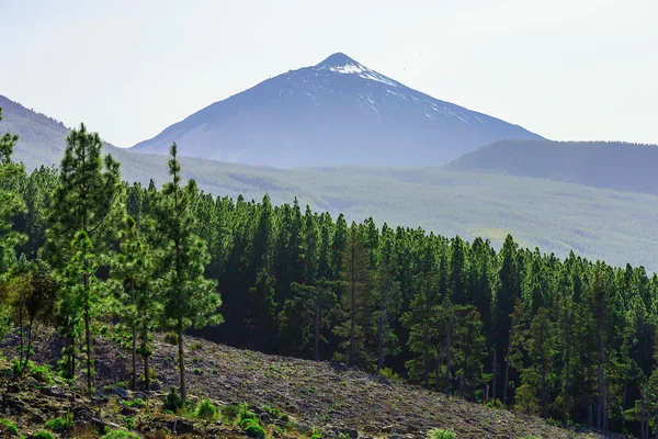 Teide Volcano Landscape on Tenerife — Stock Photo, Image