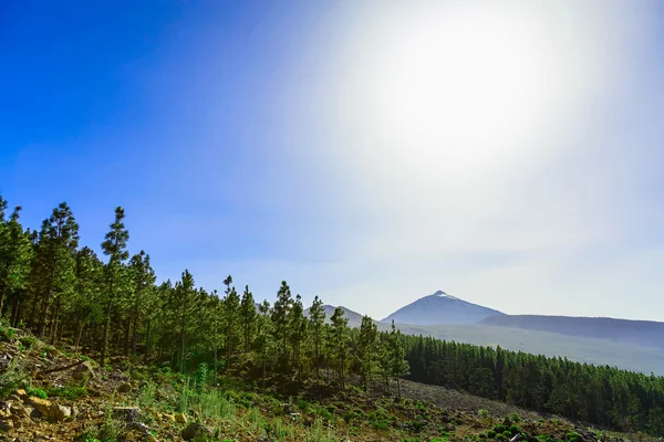 テネリフェ島テイデ火山風景 — ストック写真