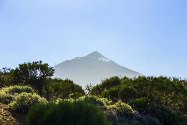 特内里费岛的泰德火山景观 — 图库照片