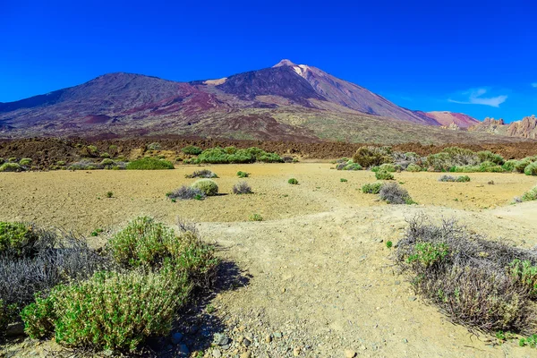 Teide yanardağı manzara Tenerife