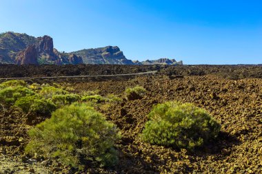 Dağlar manzara Tenerife adasında