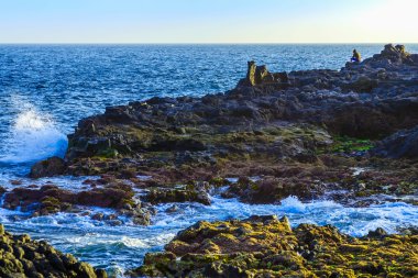 Taş sahil veya Atlantik Okyanusu kıyısında