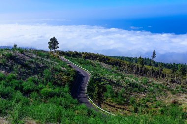Tenerife adasında Road, yatay
