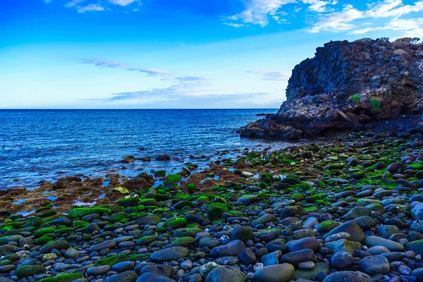 Costa de piedra o orilla del océano Atlántico — Foto de Stock