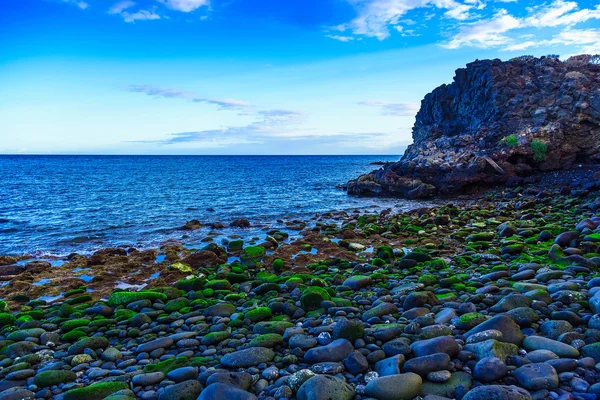 Kámen nebo na pobřeží Atlantského oceánu — Stock fotografie