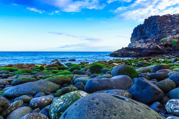 Stone kust of kust van de Atlantische Oceaan — Stockfoto