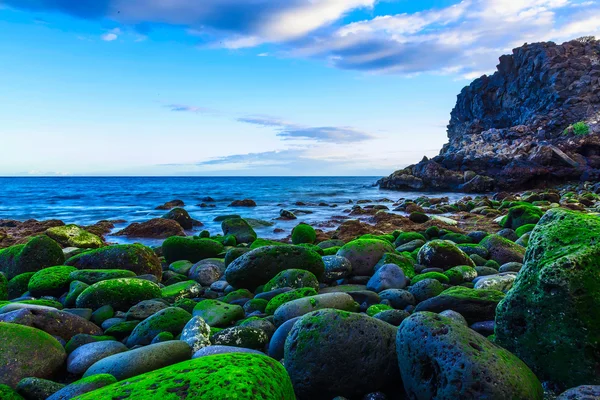 Costa de piedra o orilla del océano Atlántico — Foto de Stock