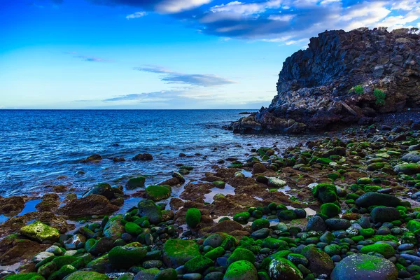 Costa de piedra o orilla del océano Atlántico — Foto de Stock
