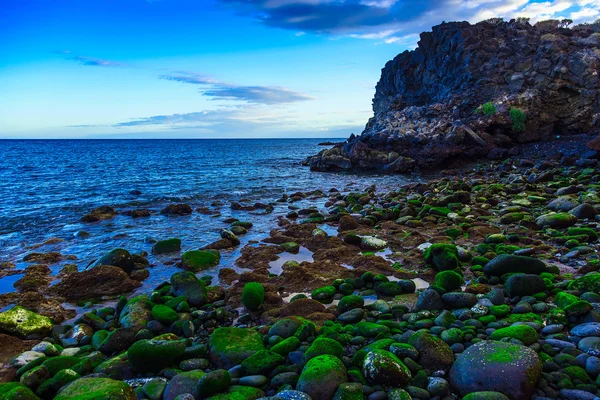 Каменное побережье Атлантического океана — стоковое фото