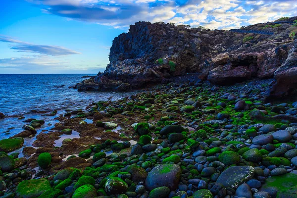 Costa de piedra o orilla del océano Atlántico — Foto de Stock