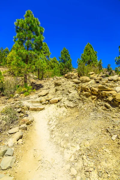 Landskap med vandringsled på Teneriffa — Stockfoto