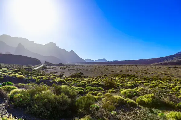 Paisaje con carretera en la isla de Tenerife — Foto de Stock