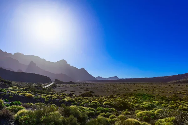 Paisaje con carretera en la isla de Tenerife — Foto de Stock