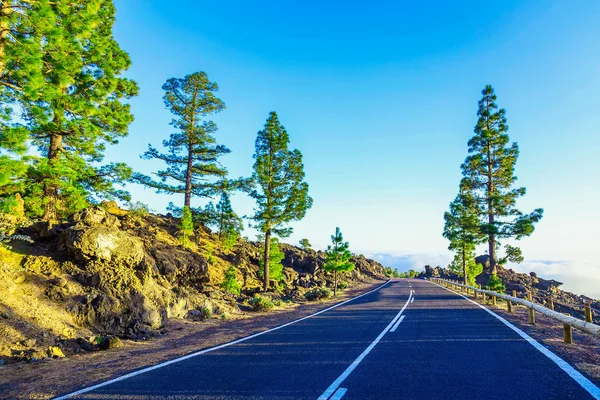 Paysage avec route sur l'île de Tenerife — Photo