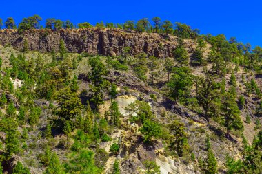 Çam ağaçları üzerinde dağ manzarası