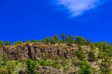 Çam ağaçları üzerinde dağ manzarası