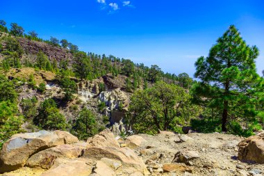 Çam ağaçları üzerinde dağ manzarası