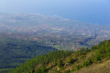 Çam ağaçları üzerinde dağ manzarası