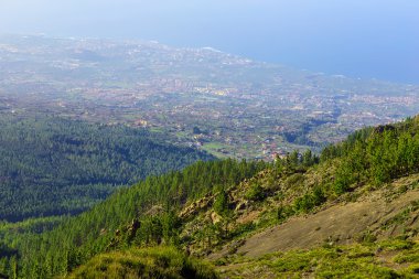 Çam ağaçları üzerinde dağ manzarası