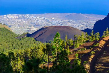 Çam ağaçları üzerinde dağ manzarası