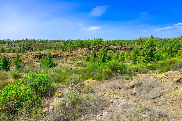 Granar på bergslandskap — Stockfoto