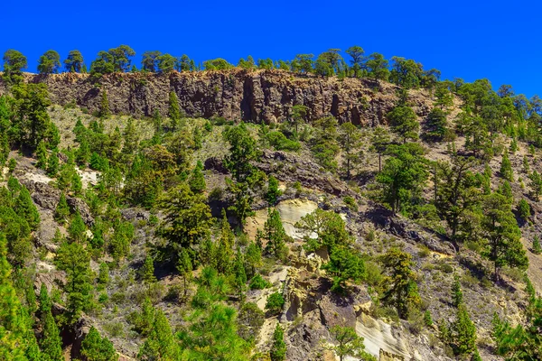 Granar på bergslandskap — Stockfoto