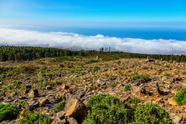 Manzara İspanya Tenerife adasında