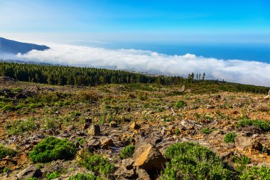 Manzara İspanya Tenerife adasında