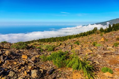 Manzara İspanya Tenerife adasında